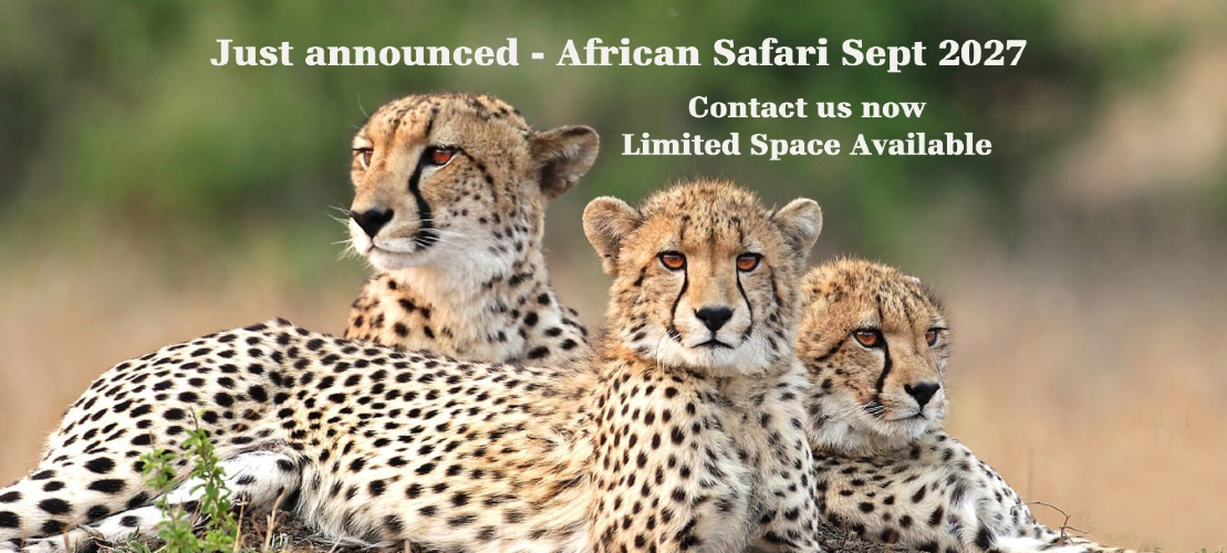 Contact us for more information